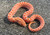 PPA Hognose for sale