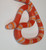 Tangerine Albino Honduran Milk Snake for sale