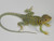 Eastern Collard Lizards for sale