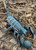 Emperor Scorpion for sale
