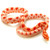 Albino Corn Snakes for sale | Snakes at Sunset